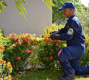 🌿 Operario Jardinero – Medio Tiempo (MT)